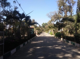 Main Road