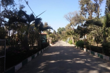 Main Road