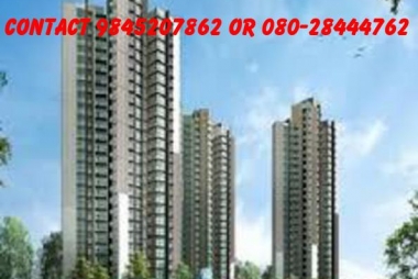 3 bhk flat for sale in orchid woods, hennur